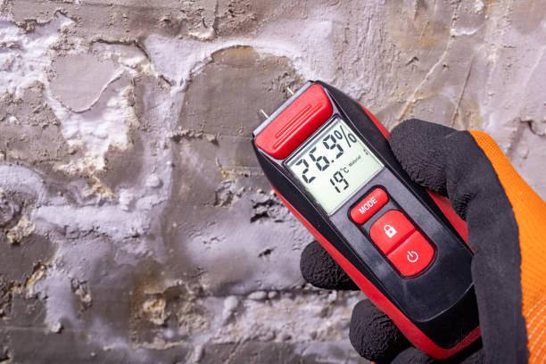 Best Home Mold Removal  in Beulah, ND