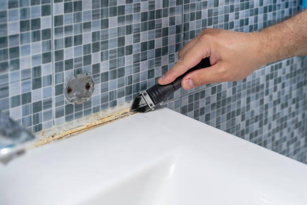 Best Mold Cleaning Services  in Beulah, ND