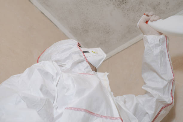 Best Crawl Space Mold Removal  in Beulah, ND