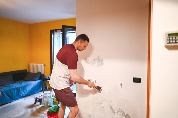 Attic Mold Removal in Beulah, ND